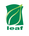 Leaf Erie