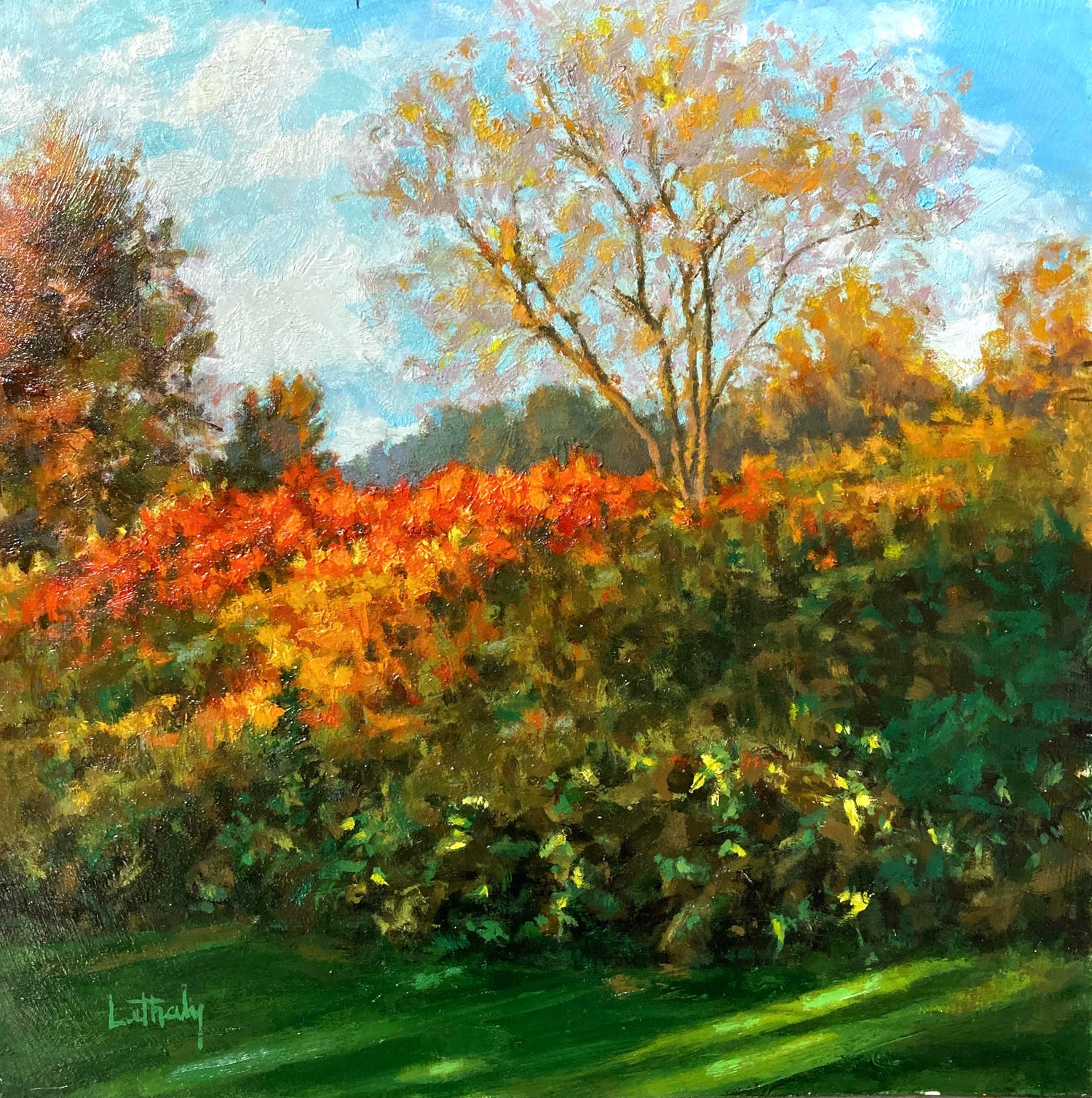 Hillside Sumac - Frontier Park