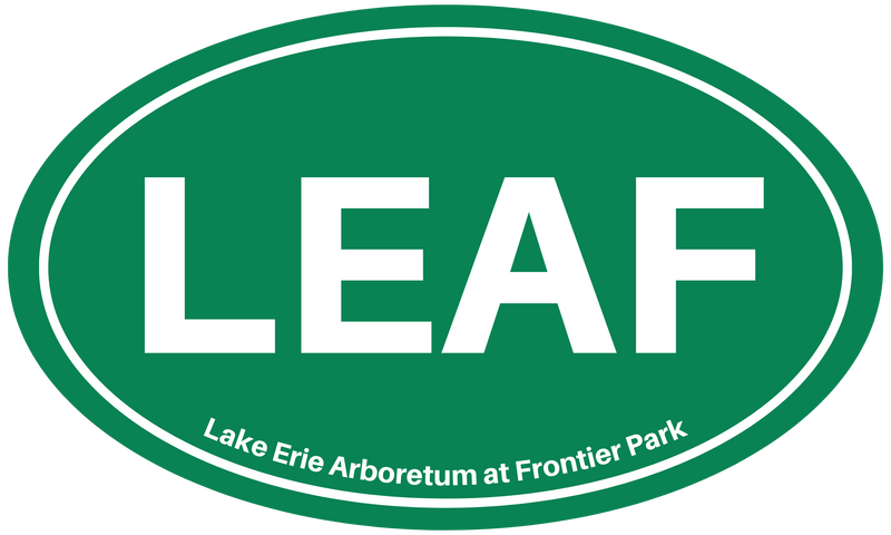 LEAF Oval Magnet