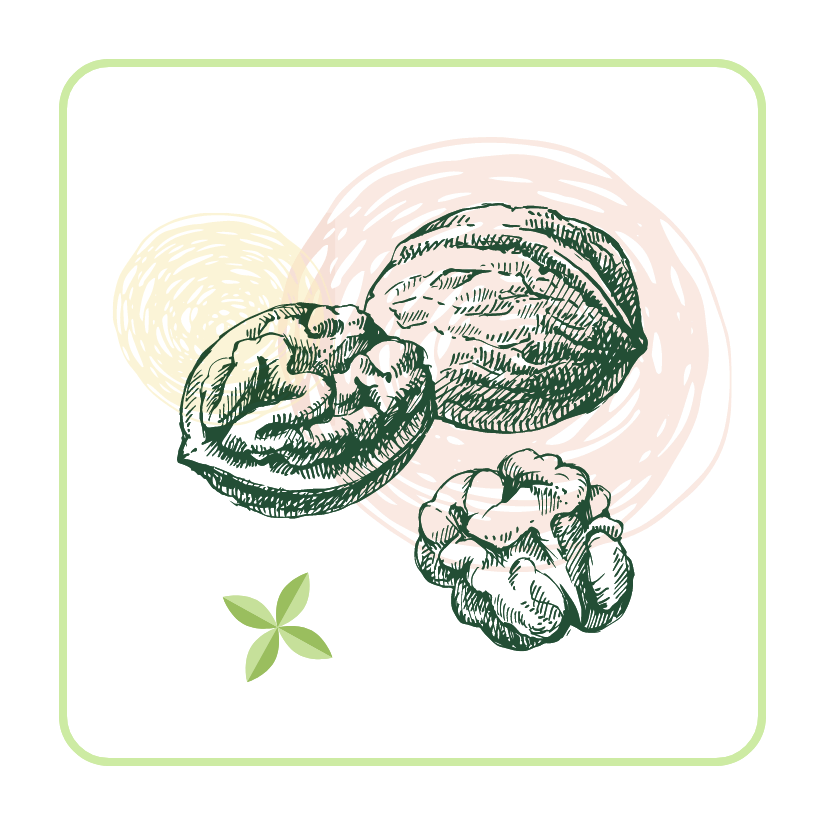 dark green icon of three different acorns