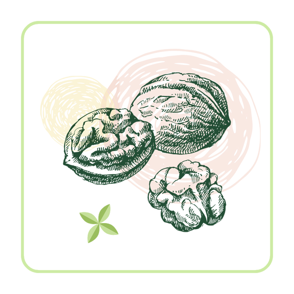 dark green icon of three different acorns