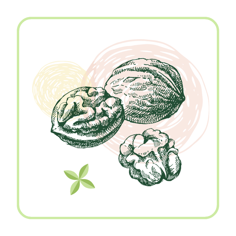 dark green icon of three different acorns