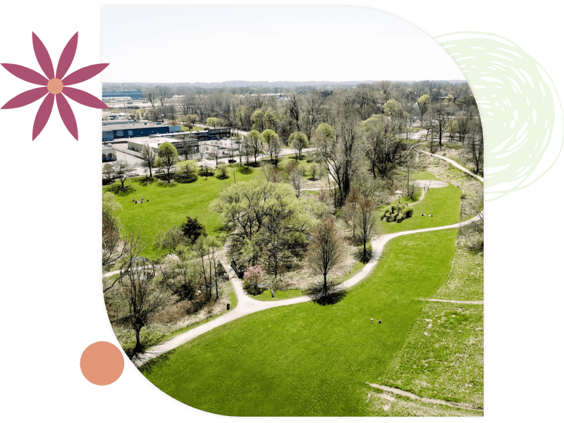 Leaf Aerial view