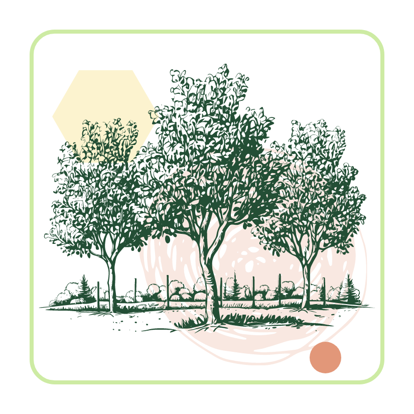 dark green icon of three large trees