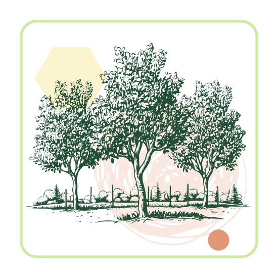 dark green icon of three large trees