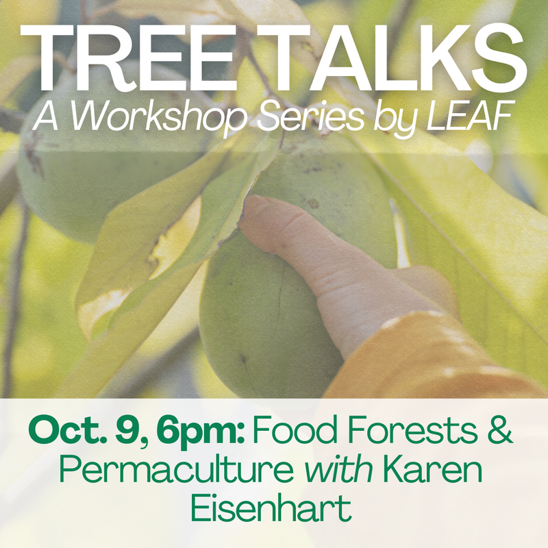 Tree Talk: Food Forests & Permaculture