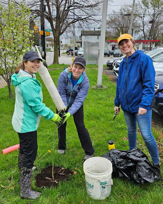 Three residents of Erie County planting a tree