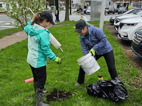 Residents of Erie County planting a tree