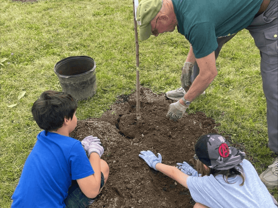 One adult and two children from Erie County planting a tree