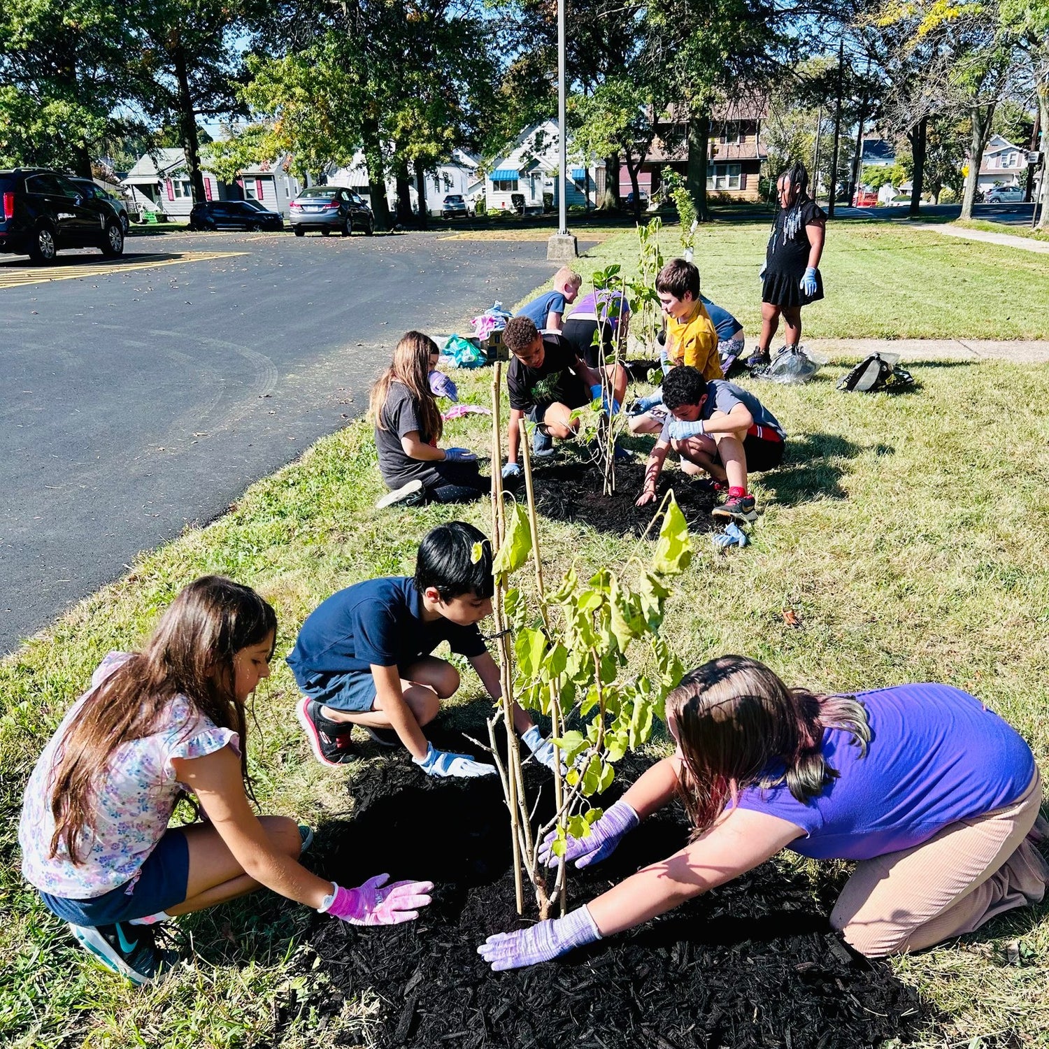 Two large groups of children from Erie County planting trees