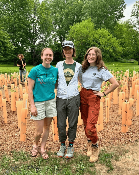 Residents of Erie County planting trees